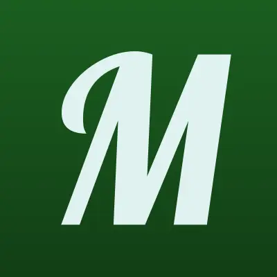Мировые судьи Савинского района, лого-визитка